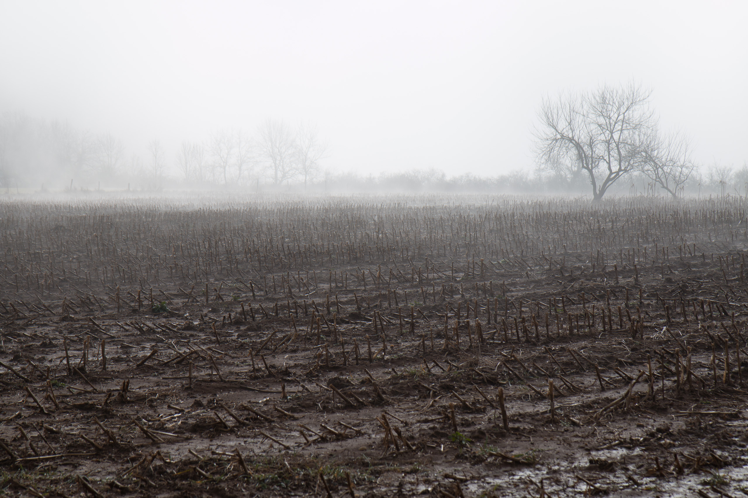 Le champs de bataille